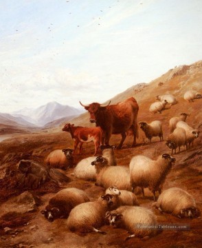  Animaux Tableaux - Dans les Highlands bétail bétail de ferme Thomas Sidney Cooper